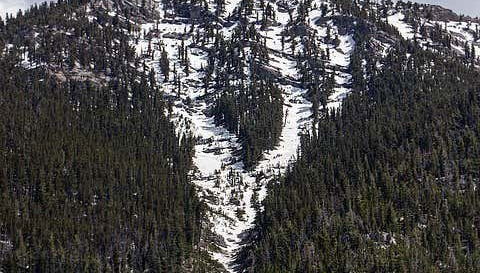 Excursión al monte Charleston - Foto 1