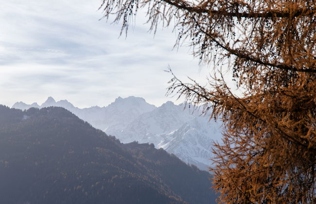 Diure 0113 - Foto 22