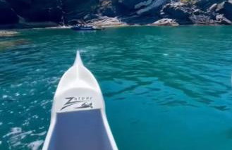 Flamboyant - Foto 13