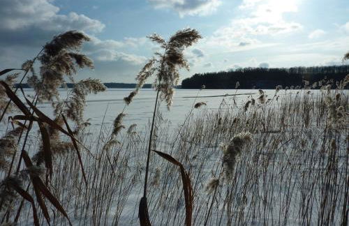 Landhaus Fischersruh Plauer See - Foto 23