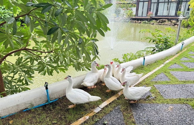 Huge Pool Villa with Private Lake - Foto 45