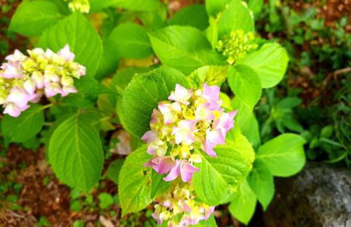 Zgora mora-above the sea-peacefull,family frendly - Foto 24