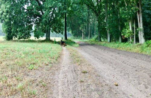 Charming Countryside Apartments - Photo 21