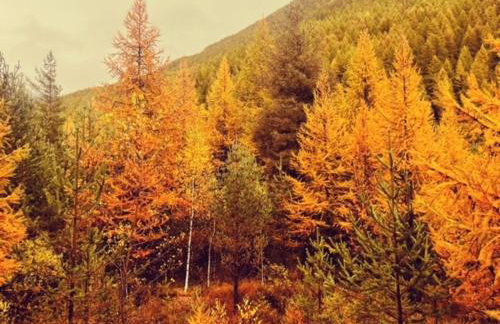 Ninette, intimità e natura - Foto 14