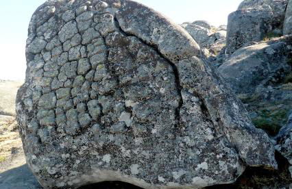 Casa da Eira Velha - Foto 39