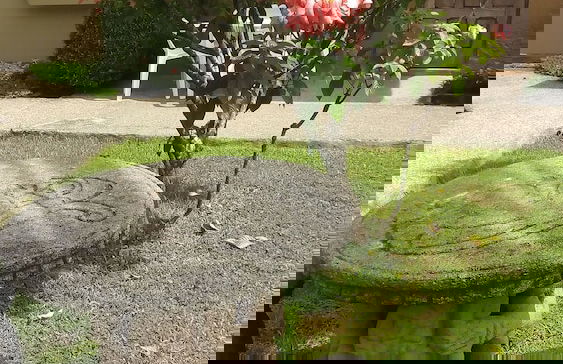 La Villa Creole - Foto 20