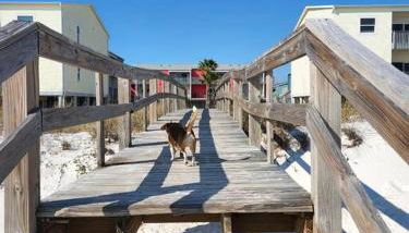 Quiet 2 bedroom condo on Gulf with pool and pond - Photo 2