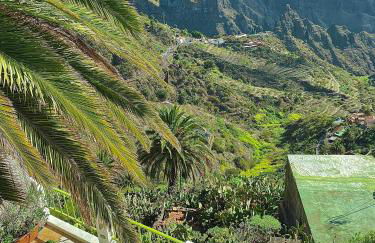 Sweet Home Masca - Foto 4