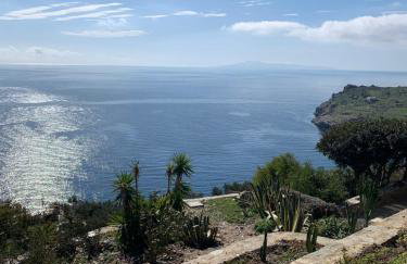 ΠΕΤΡΙΝΟ στην Άνδρο - Foto 18