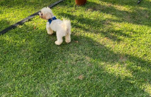 Casa_Mare11 - Foto 36