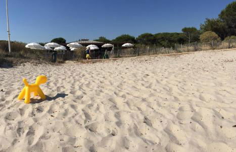 Entre mer et mer - Foto 7