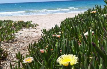 Tasinanta casa vacanze - Foto 4