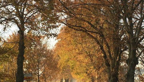 Helle Loft mit eingenem Garten - Foto 5