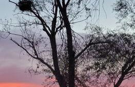 Villa vista vigneto - Foto 29