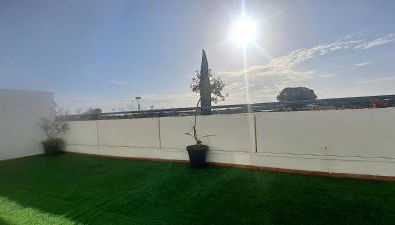 Olivar de Gines a un paso de Sevilla - Foto 4