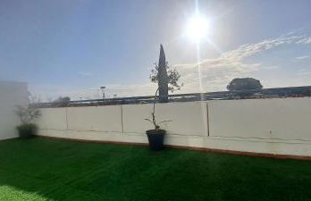 Olivar de Gines a un paso de Sevilla - Foto 4