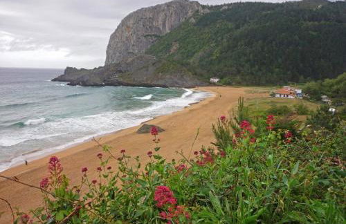 Gernika Urdaibai - Foto 25