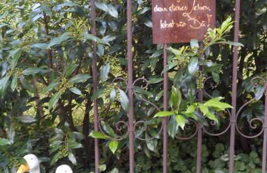 Ferienwohnung Arberblick - Foto 34