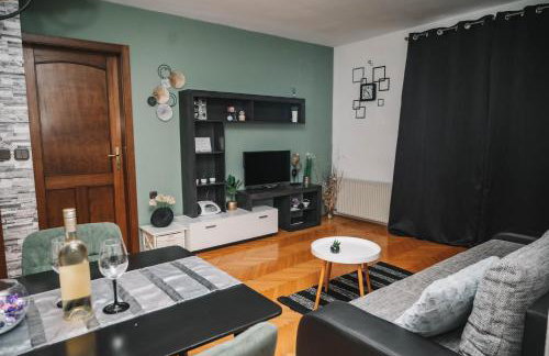 Apartments Mihael and Melani - Foto 34