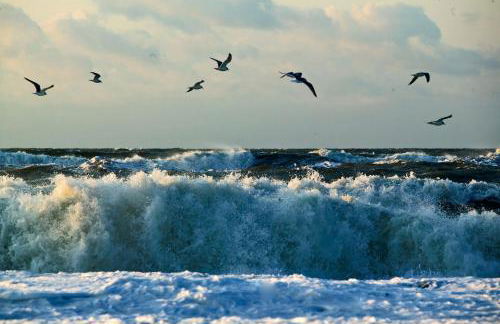 Haubarg am Meer - Foto 18