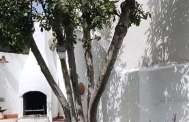 LOS SUEÑOS DE BUENDÍA - Foto 1