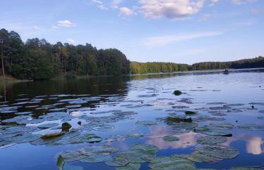 Domek letniskowy Nad Mrowinkiem - Foto 10