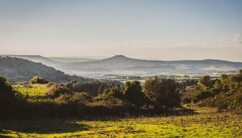 Country Living School - Foto 4