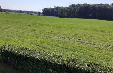 Ferienwohnung I Raup - Foto 30