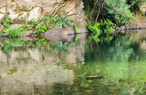 Los Naranjos de Jerte - Foto 7