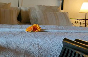 La Somadita Tinizara - Foto 12