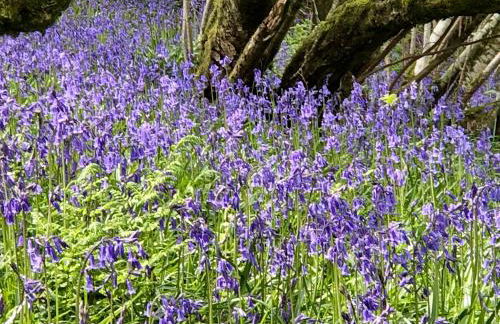 Drovers Retreat - Photo 73