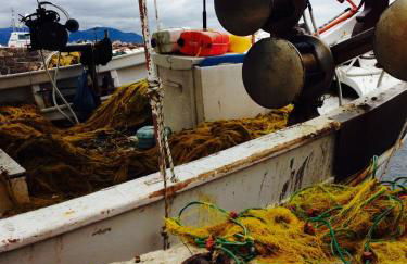 Molivos Tower - Photo 61