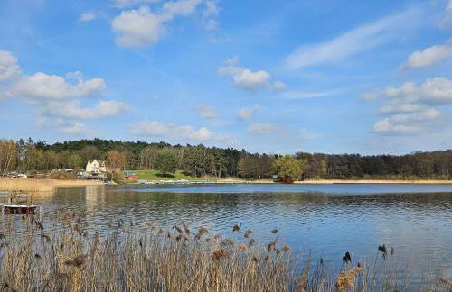 Apartment Karpfen by Interhome - Foto 21