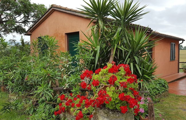 Agriturismo Il Giogo - Photo 44