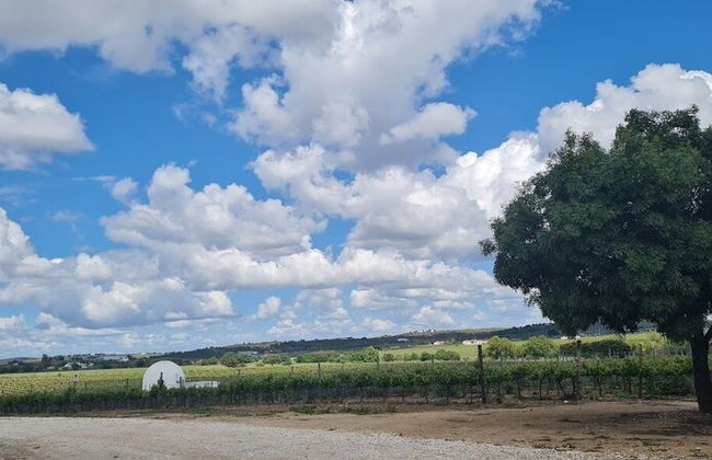 Herdade das Castas Nobres - Photo 50