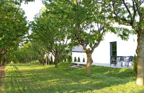 Domki w Winnicy - Świętokrzyska Winnica Knapów - Foto 4