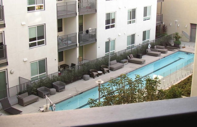 Full Amenities One Bedroom - Photo 19