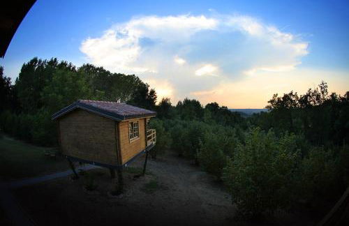 Ecolodge Langhe - Foto 33