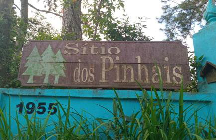 Sitio dos pinhais - Photo 12