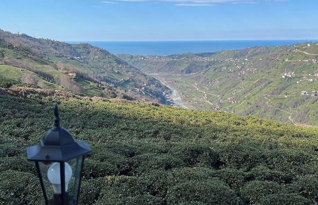 Kalivi Suit Bungalov - Foto 26