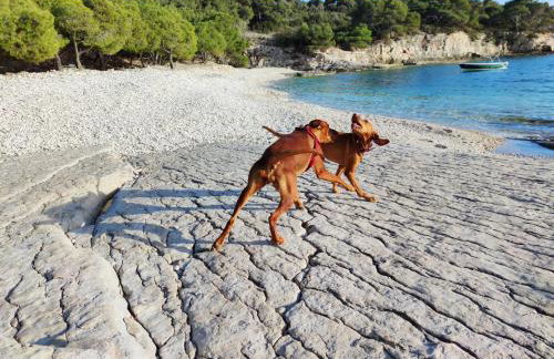 Sunrise Apartments - Foto 11