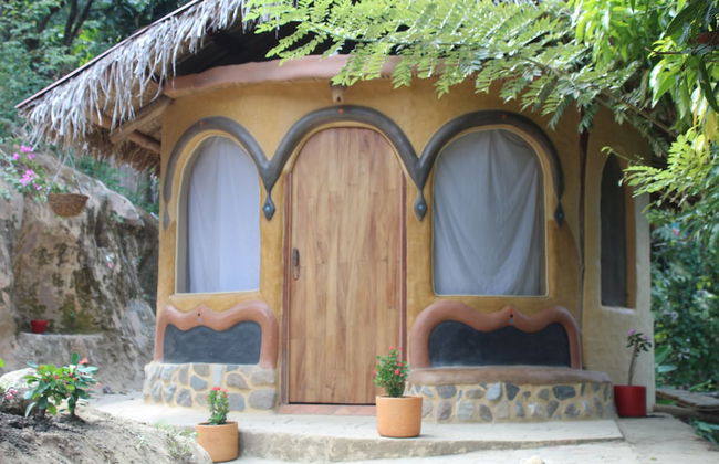 Sol de minca - Photo 15