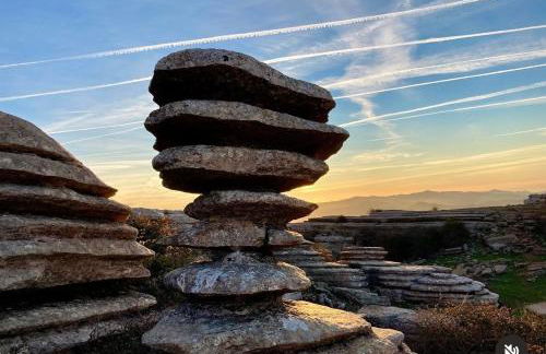 Cortijo el Alcornocal - Foto 13