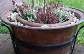 Haus am Sonnenhang - Foto 7