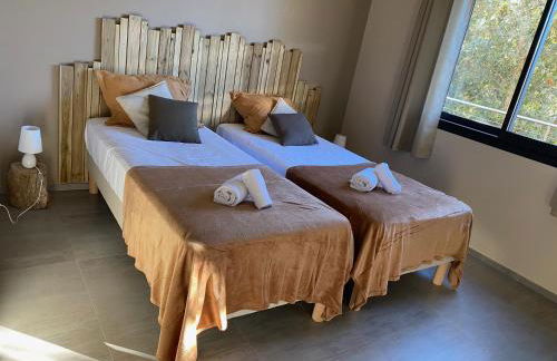 Résidence Petru-Maria - Foto 26