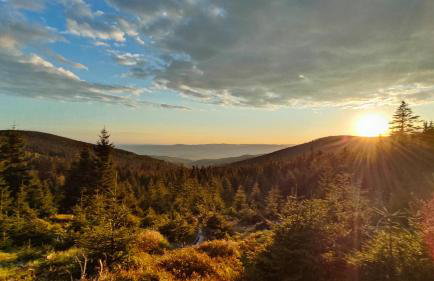 Apartament Śnieżny Międzygórze - Foto 15