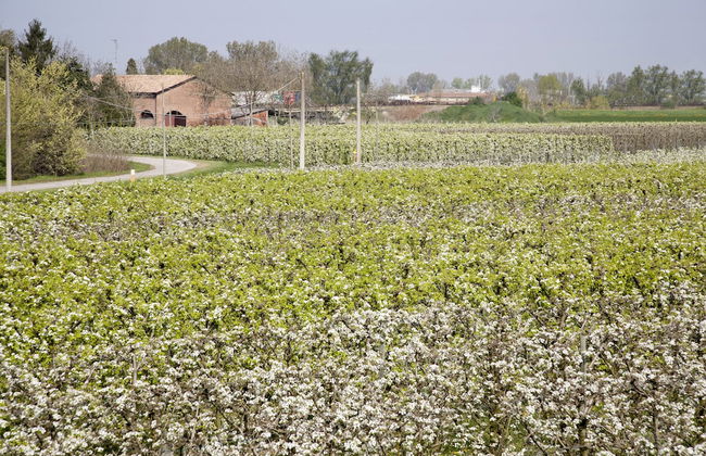 Agriturismo Dosso al Porto - Foto 47
