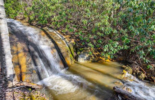 Remote Home with Deck and Grill in Scenic Tuckasegee! - Foto 36