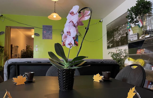 Pied-A-Terre Mont-Royal - Foto 59