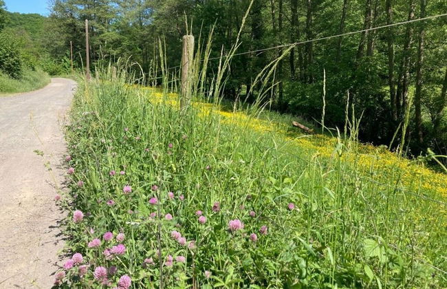 Lindenblatt ' Right - Foto 22